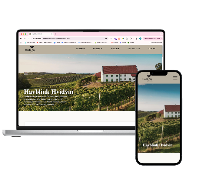 mockups af havblinks hjemmeside